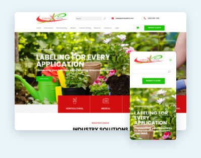 Ejemplo 6 de diseño de sitio web personalizado